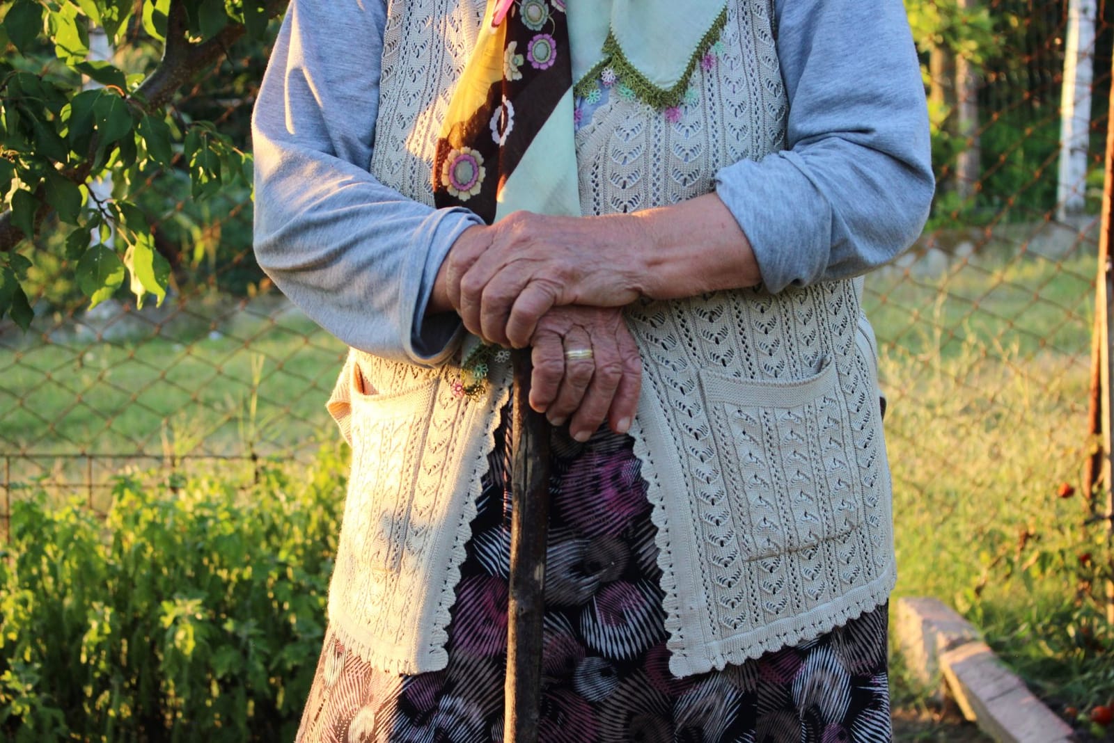 Il giardino